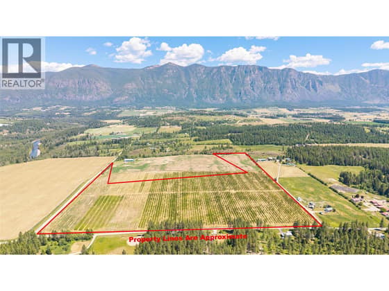 Lot 4