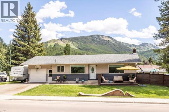 316 Alpine Place