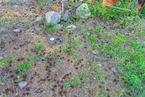 Photo 6 of Lot 34 Winchester Road, Okanagan North, Vernon