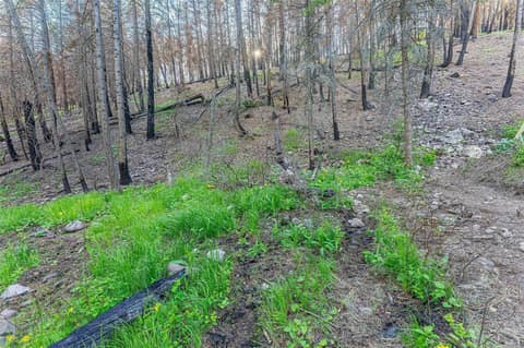 Photo 8 of Lot 34 Winchester Road, Okanagan North, Vernon