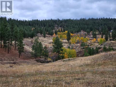 Photo 49 of A Reservoir Road Lot# Lot A, Penticton Rural
