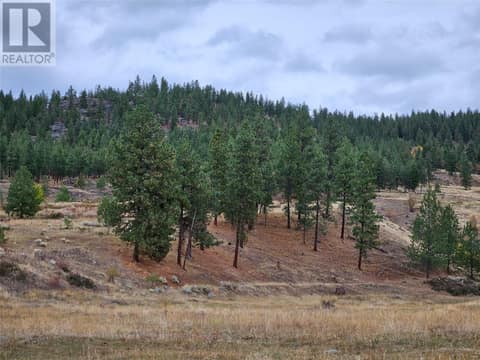 Photo 50 of A Reservoir Road Lot# Lot A, Penticton Rural