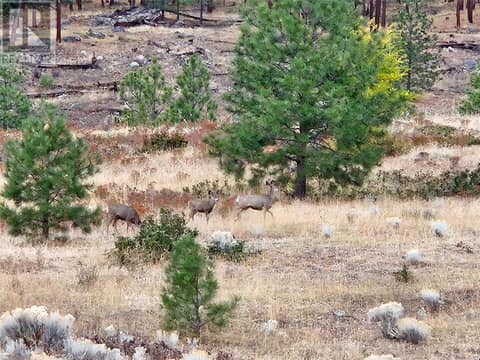 Photo 53 of A Reservoir Road Lot# Lot A, Penticton Rural