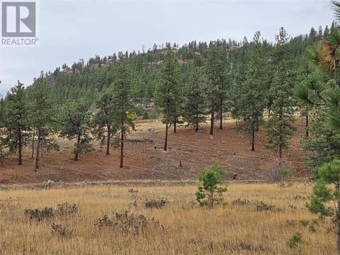Photo 55 of A Reservoir Road Lot# Lot A, Penticton Rural