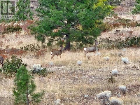 Photo 69 of A Reservoir Road Lot# Lot A, Penticton Rural