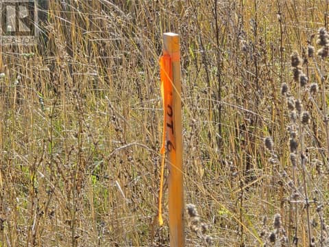 Survey Post between lot 5 & 6 at 5145 Salmon River Road, Armstrong/ Spall., Spallumcheen