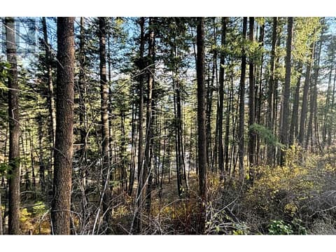 Photo 7 of Lot 145 Keithley Road Lot# 145, Okanagan North, Vernon