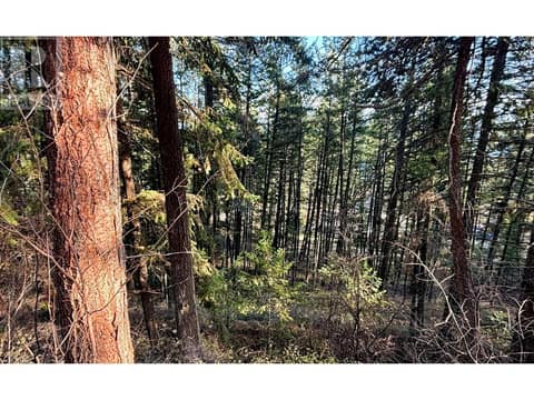 Photo 8 of Lot 145 Keithley Road Lot# 145, Okanagan North, Vernon