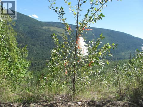 Photo 25 of 130Acres Sugar Lake-Sihlis Road, Cherryville, Vernon