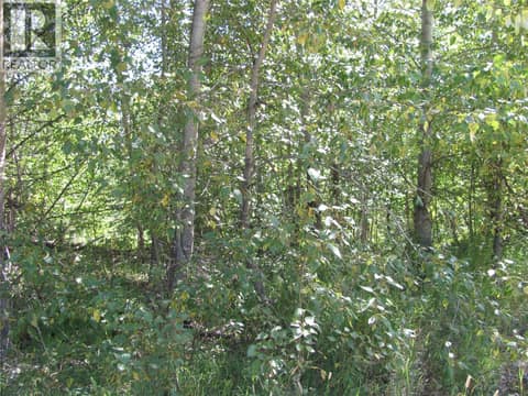 Photo 30 of 130Acres Sugar Lake-Sihlis Road, Cherryville, Vernon
