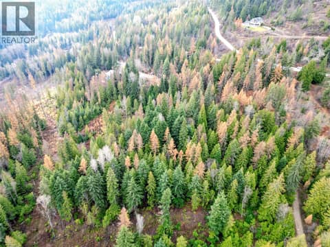 Photo 10 of 766 Drakes Road, Rossland Rural