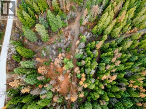 Photo 7 of 766 Drakes Road, Rossland Rural