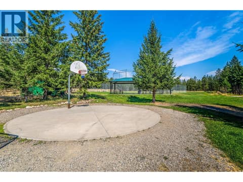 Basketball net at 10523 Westshore Road, Okanagan North, Vernon