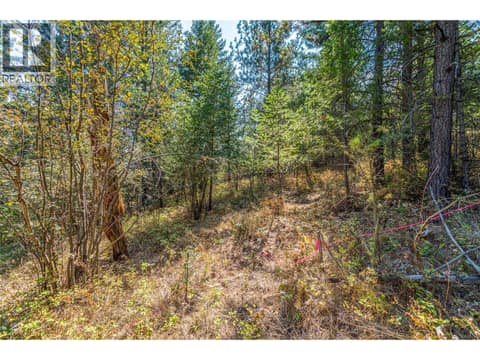 Gently sloping Lot at 10523 Westshore Rd with great potential for development. at 10523 Westshore Road, Okanagan North, Vernon