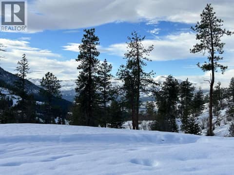 Photo 5 of 172 Wildsong Crescent, Predator Ridge, Vernon