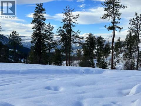 Photo 6 of 172 Wildsong Crescent, Predator Ridge, Vernon