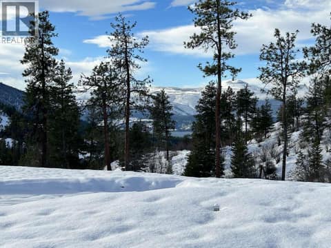 Photo 7 of 172 Wildsong Crescent, Predator Ridge, Vernon