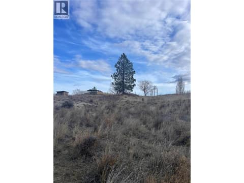Photo 6 of 1525 Steelhead Road, Cherry Creek/Savona, Kamloops