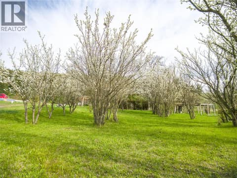 Fruit Trees at 327 97A Highway, Armstrong/ Spall., Spallumcheen