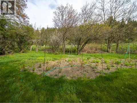 Fruit Trees at 327 97A Highway, Armstrong/ Spall., Spallumcheen