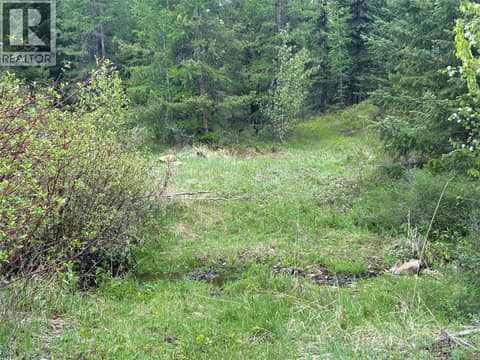 Small Creek along the trail at 650 Bluenose Road, Lavington, Vernon