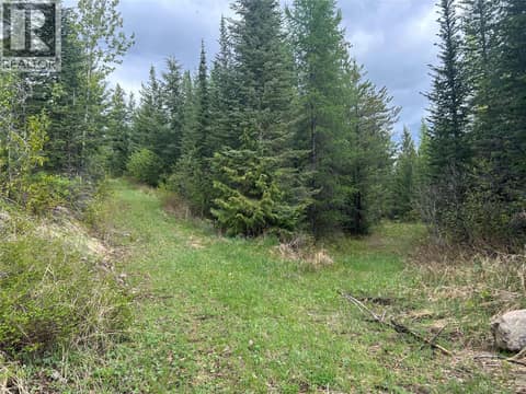 Trail at 650 Bluenose Road, Lavington, Vernon