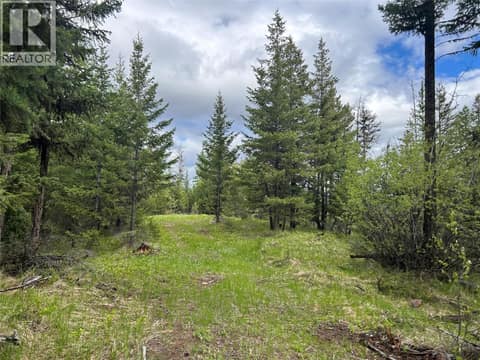 Trail at 650 Bluenose Road, Lavington, Vernon