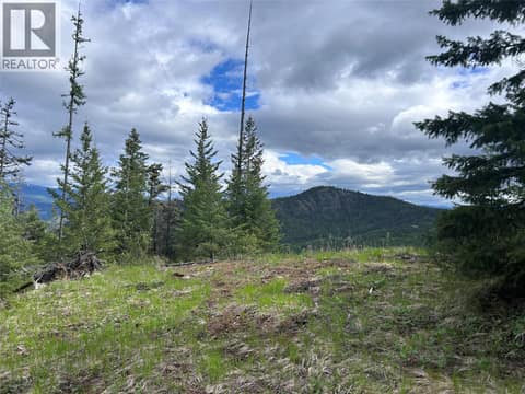 Trail to View Point at 650 Bluenose Road, Lavington, Vernon