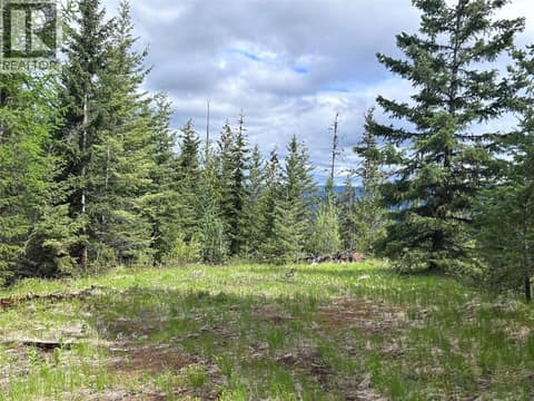 Trail to View Point at 650 Bluenose Road, Lavington, Vernon