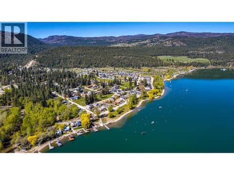 Arial view of park cove and the waterfront at 270 Grouse Avenue, Okanagan North, Vernon
