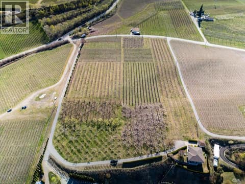 Aerial view of orchard looking west at 14807 89th Street, Osoyoos Rural