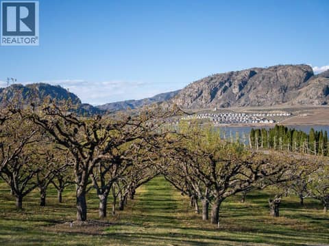 Orchard at 14807 89th Street, Osoyoos Rural