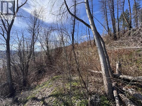 Photo 11 of Lot 25 Hodges Road, Westside Road, Vernon
