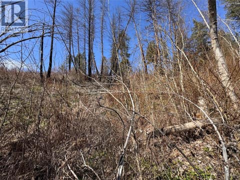 Photo 16 of Lot 25 Hodges Road, Westside Road, Vernon