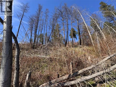 Photo 9 of Lot 25 Hodges Road, Westside Road, Vernon