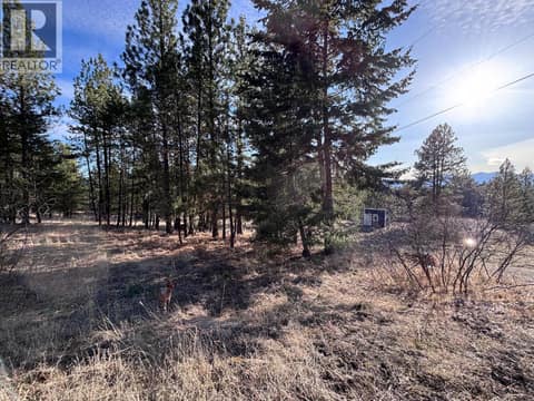 Photo 3 of 100 Cougar Court, Osoyoos Rural