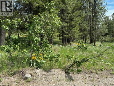 Photo 6 of 100 Cougar Court, Osoyoos Rural