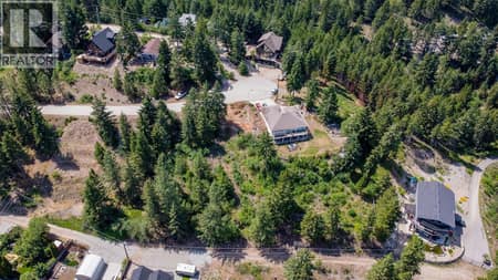 Aerial view with lower lane access road. at 10579 Columbia Way, Okanagan North, Vernon