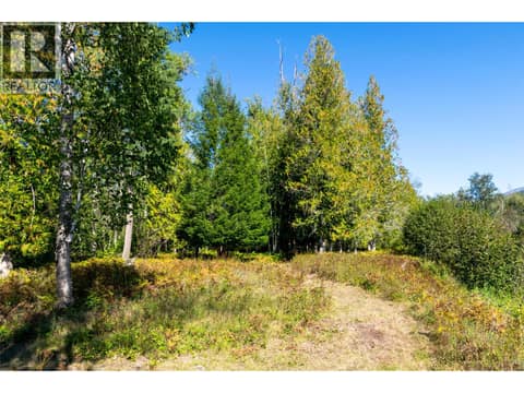 Photo 85 of 2904 Enderby Mabel Lake Road, Enderby / Grindrod