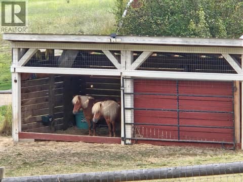 Horse shelter at 270 Brash-Allen Road, Enderby / Grindrod