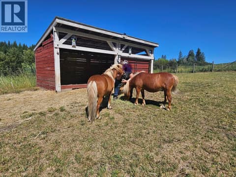 Your animals will love it here at 270 Brash-Allen Road, Enderby / Grindrod
