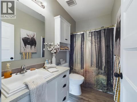 Photo 20 of 1020 BULLMOOSE Way, Osoyoos Rural