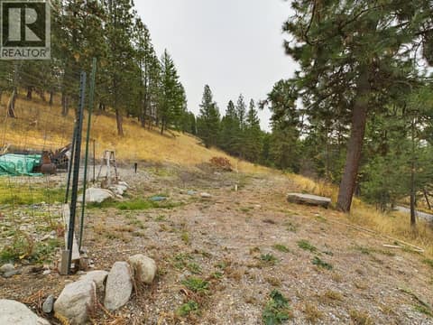 Photo 42 of 1020 BULLMOOSE Way, Osoyoos Rural