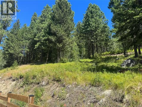 Photo 50 of 1020 BULLMOOSE Way, Osoyoos Rural
