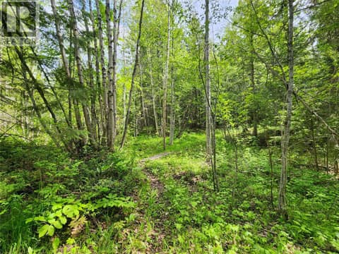 Photo 7 of Grange Road Lot# 4, Enderby / Grindrod