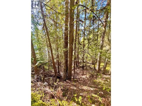 Photo 41 of 3614 Lumby Mabel Lake Road, Mabel Lake South, Lumby