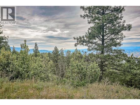 Photo 6 of 490 Sasquatch Trail Lot# 34, Osoyoos Rural