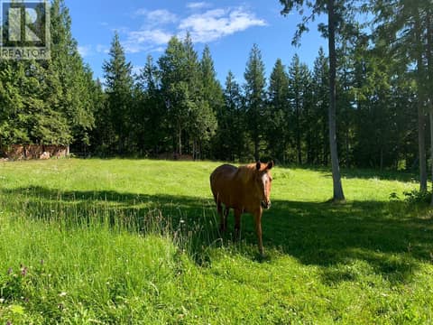 Photo 11 of 296 Trinity Valley Road, Lumby Valley