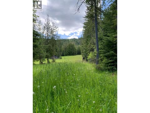 Photo 88 of 296 Trinity Valley Road, Lumby Valley