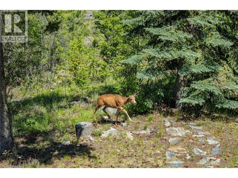 Photo 49 of 2263 Carmi Road, Penticton Rural